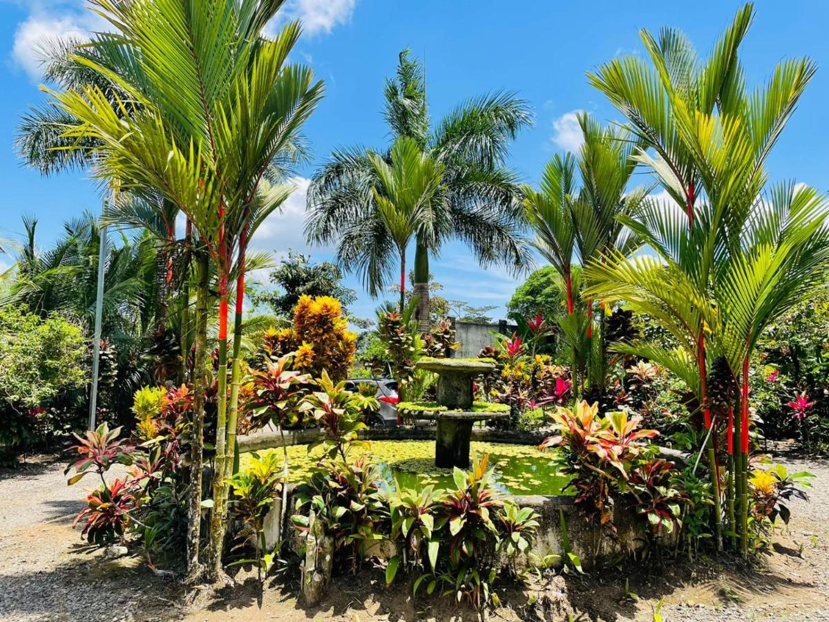 Aunty Arenal Lodge La Fortuna 外观 照片