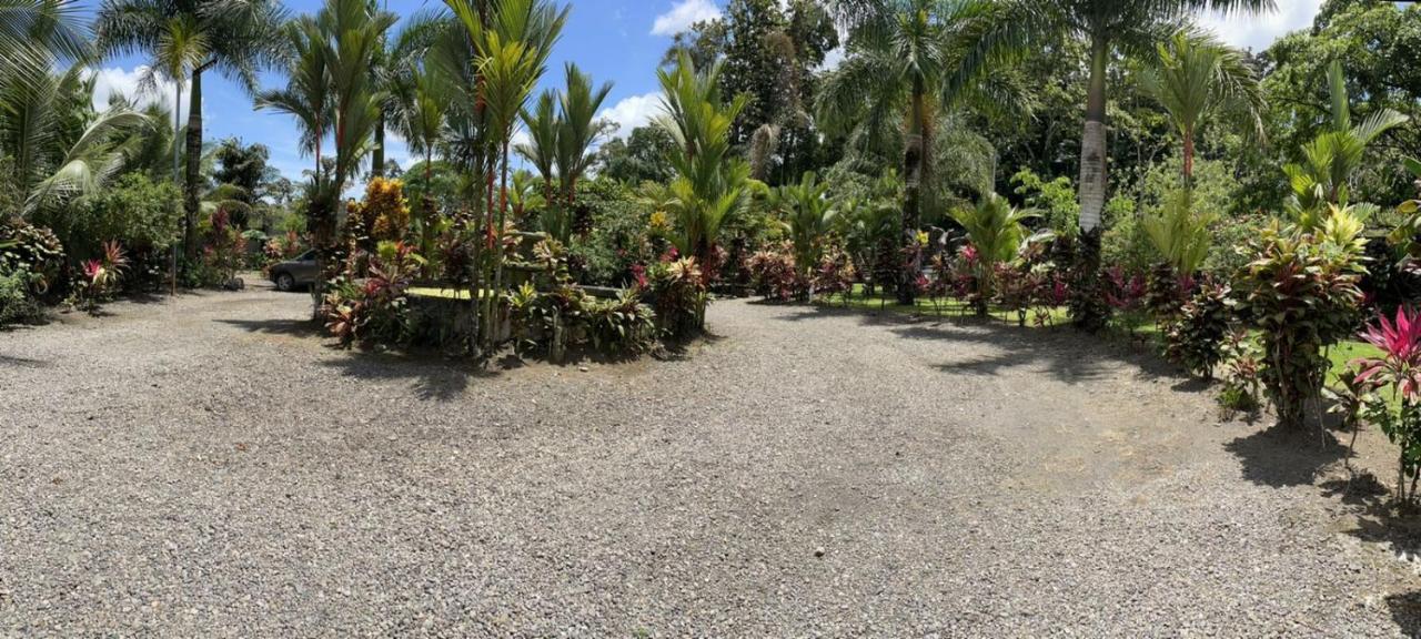 Aunty Arenal Lodge La Fortuna 外观 照片