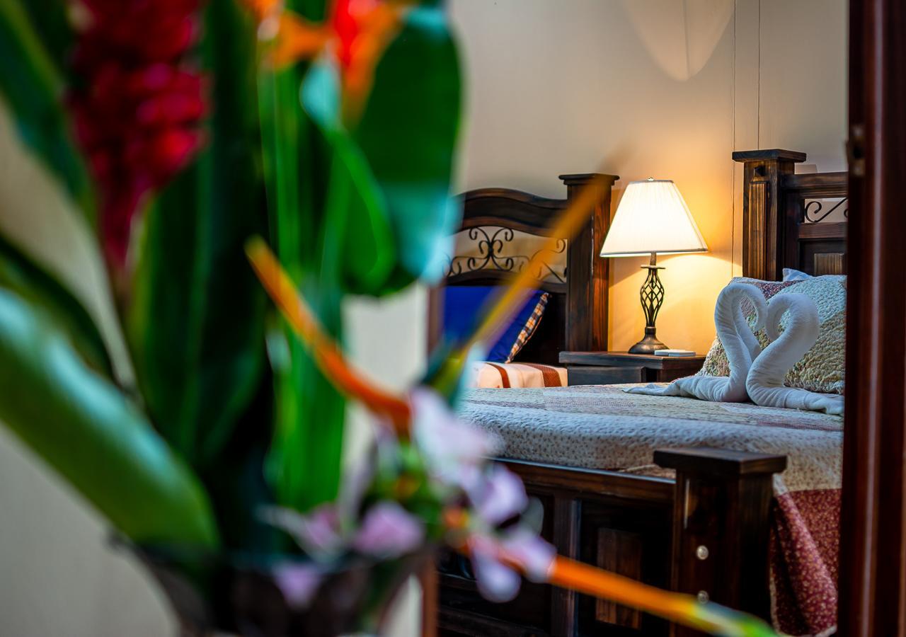Aunty Arenal Lodge La Fortuna 外观 照片