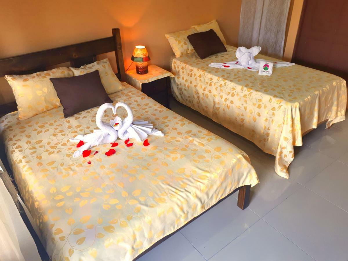 Aunty Arenal Lodge La Fortuna 客房 照片