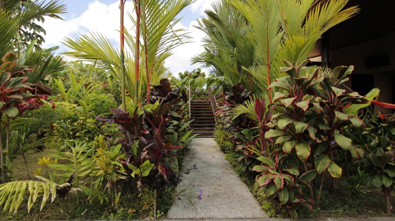Aunty Arenal Lodge La Fortuna 外观 照片
