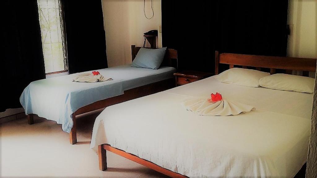 Aunty Arenal Lodge La Fortuna 外观 照片