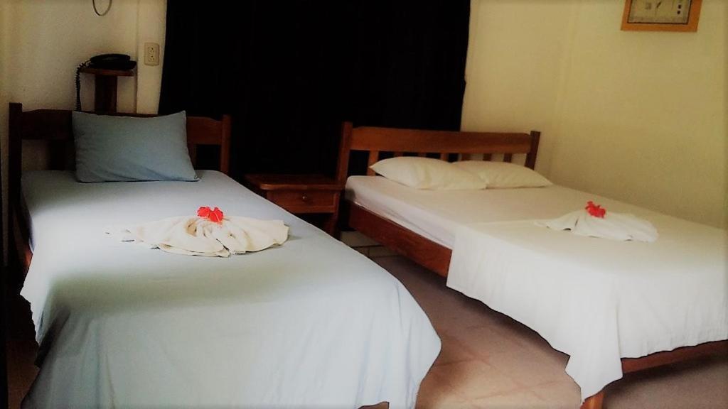 Aunty Arenal Lodge La Fortuna 外观 照片
